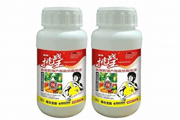 光碳核肥使用手册：掌握注意禁忌，确保作物健康成长？