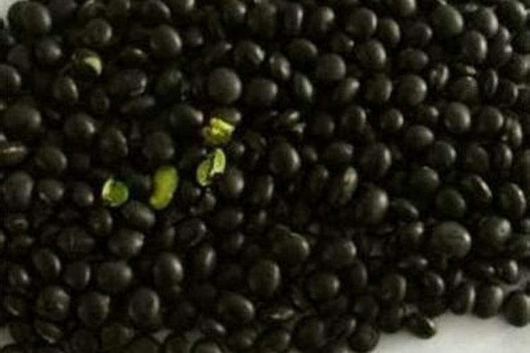 黑毛豆的储藏智慧：保鲜技术揭秘