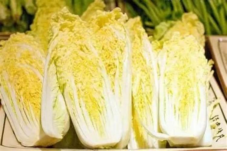 娃娃菜高产种植管理要点与施肥技巧