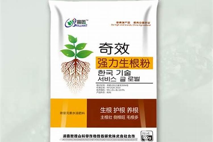 微量元素水溶肥料的高效使用指南