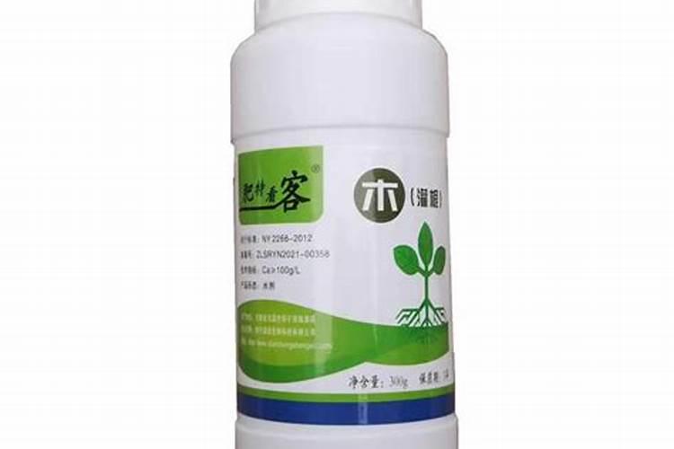 水溶肥灌根的注意事项：确保植物健康成长的关键步骤