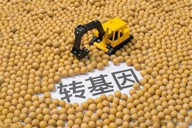 转基因种子那么贵,