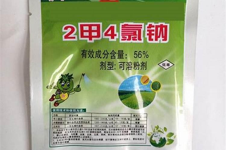 战胜药害：二甲四氯污染的有效解除方法？