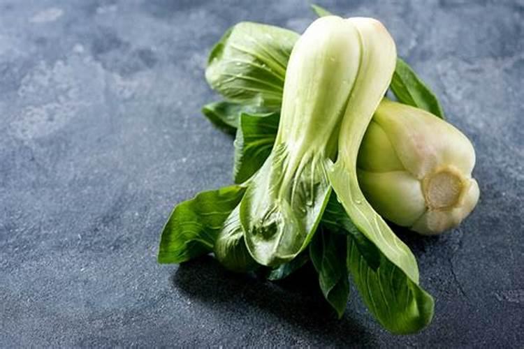 战胜韭菜菌核病：全面解决方案与实用指南