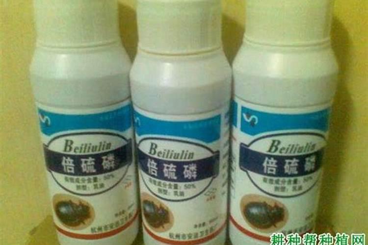 农药标签的识别方法,都有哪些？