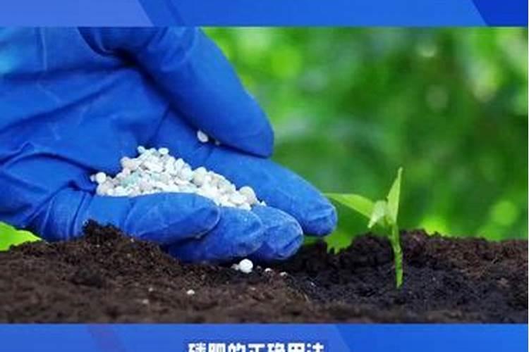 简述磷肥的使用方法简述磷肥的使用方法介绍