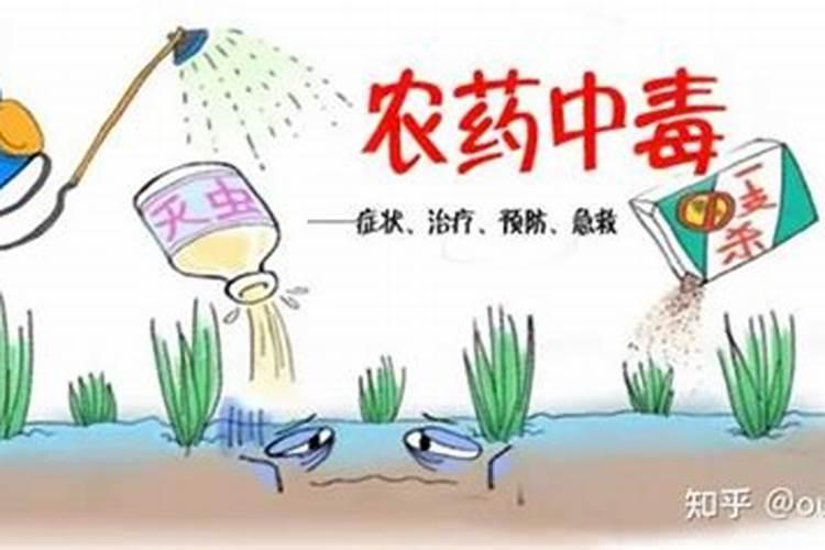 有机氯农药中毒的处理方法