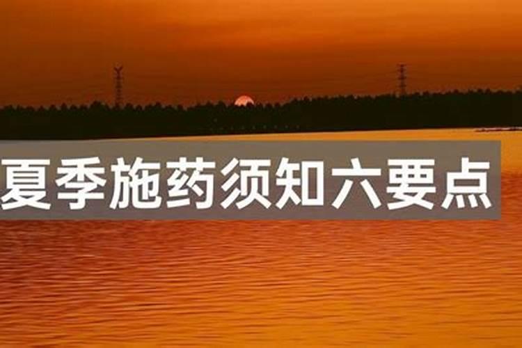 夏季施药六要点：确保安全与效果兼备？