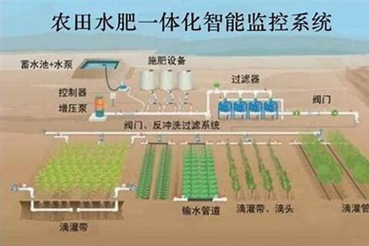 苹果水肥一体化施肥技术