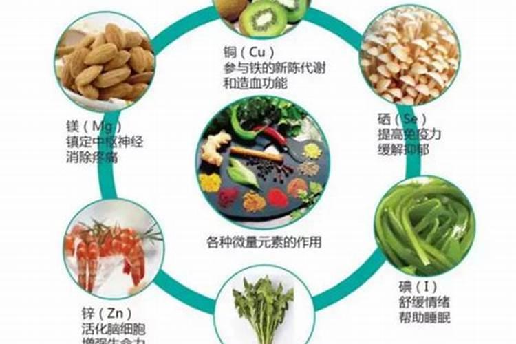 豆角中有哪些微量元素可供人体吸收？