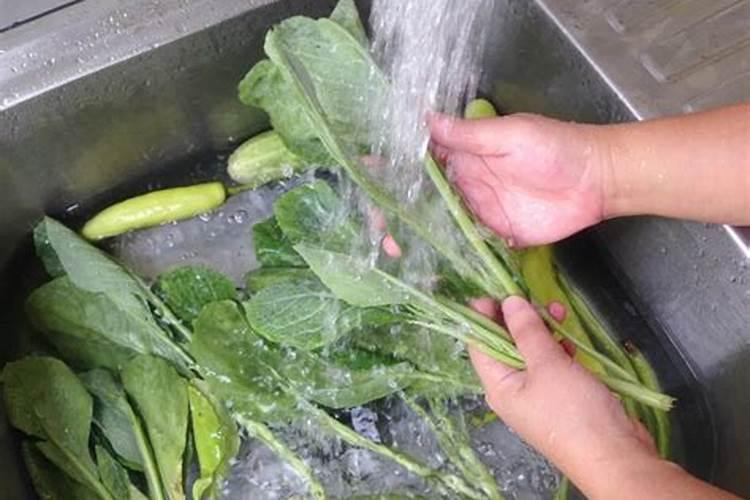 洗净绿叶，守护健康：去除叶类蔬菜农药残留的有效策略