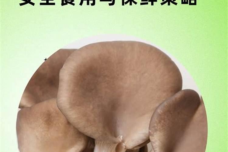 揭秘夏季提升平菇产量的关键策略