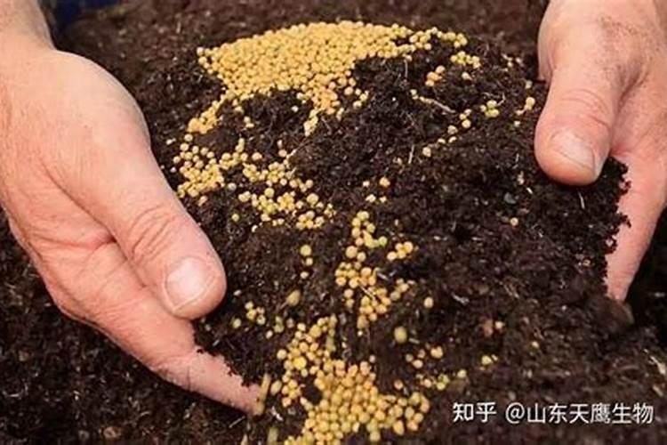 土壤盛宴：掌握肥料搭配的艺术