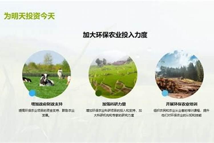 南抗9号：引领绿色农业的未来