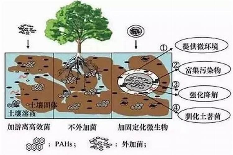 微生物菌肥湿是啥原因了？