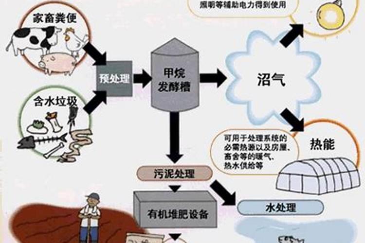什么是沼气发酵产物的综合利用？