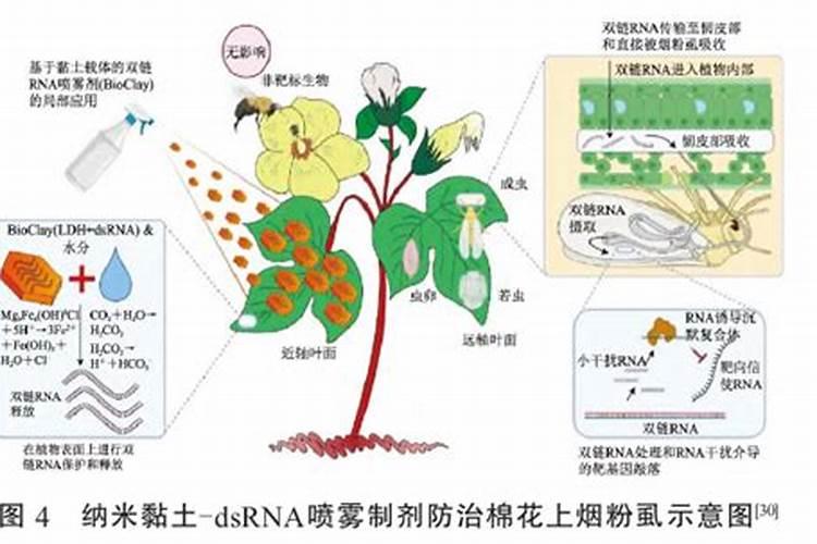 针对纳米生物<a href=