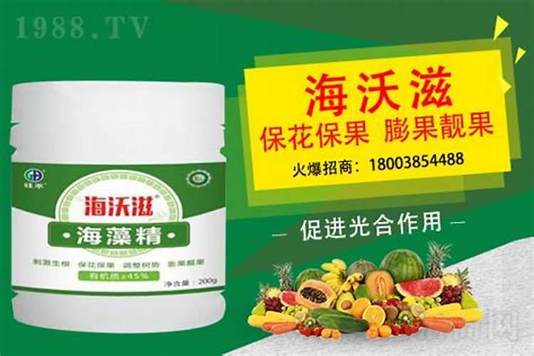 造成草莓果小是什么因素？怎么促进草莓膨果呢？