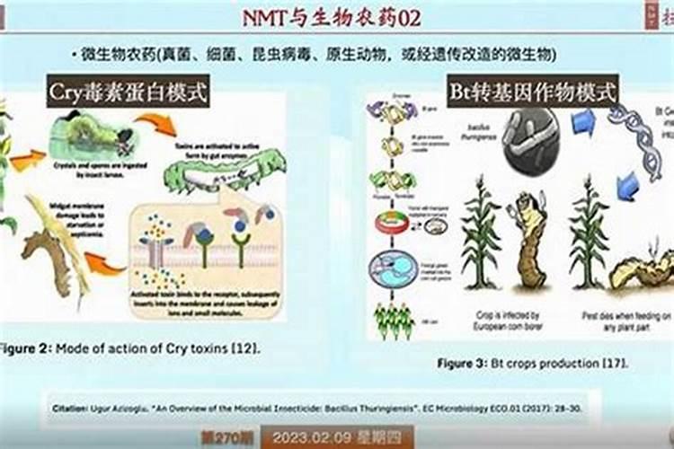 农药剂的奥秘：特性解析与应用探索