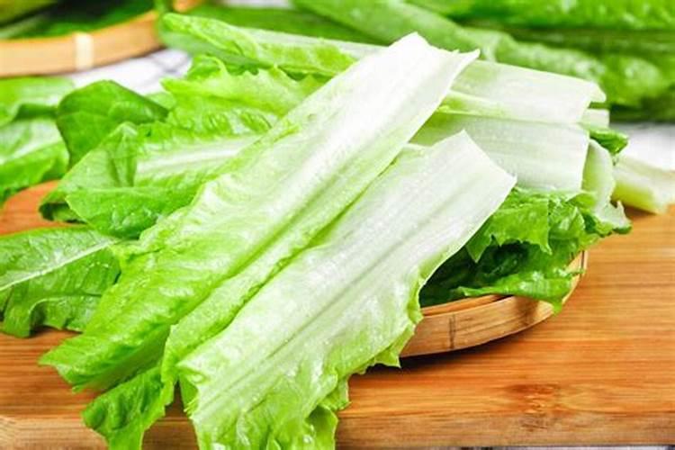 绿意盎然：掌握香葱种植的黄金法则与时机