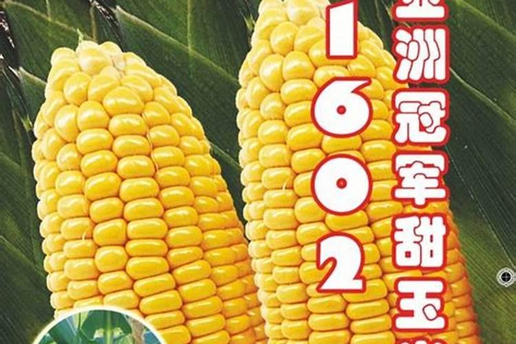 节省<a href=