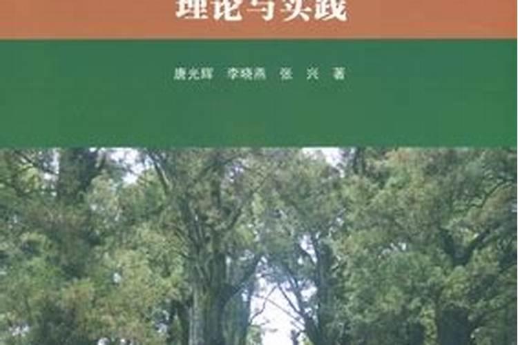 树干注药：关键注意事项与实践指南