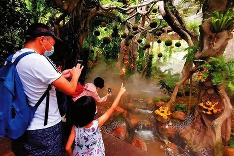 绿野仙踪：药用植物虫害防治的智慧之旅