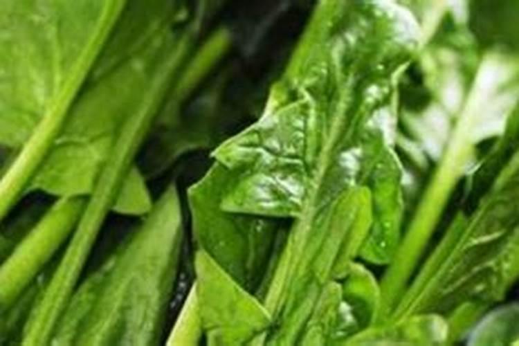 菠菜喷钙肥的作用是什么呢？