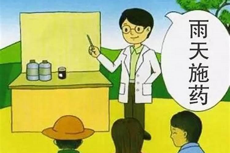 雨季施用农药,有哪些讲究？