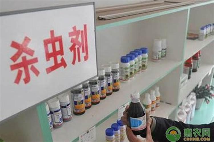 生物<a href=