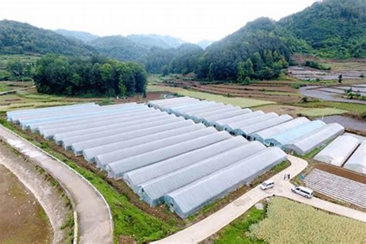 避免温室棚膜滴水的措施是什么？
