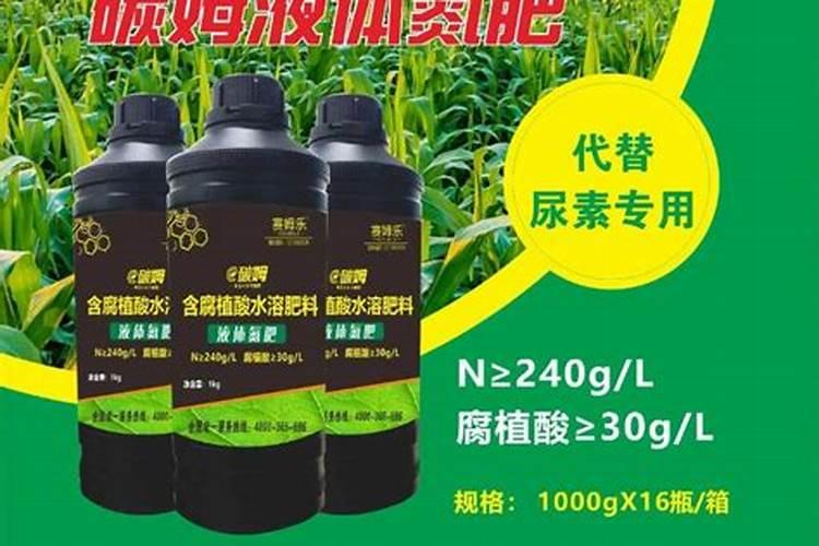 金麒麟能不能施氮肥呢？