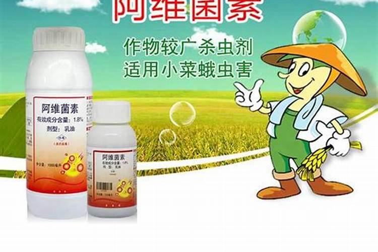 阿维菌素能打红蜘蛛吗