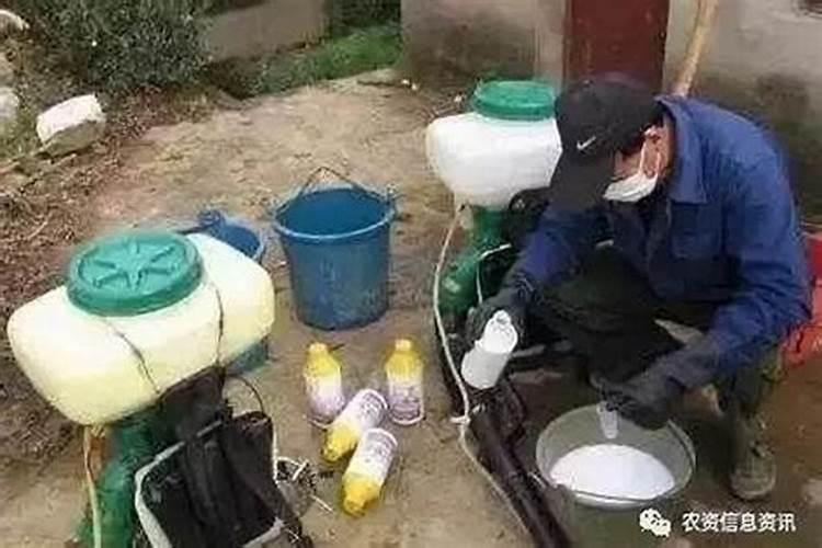对农药进行混用时,应该注意些什么？