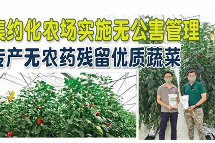 不使用任何农药生产出来的农产品就是无公害农产品吗？