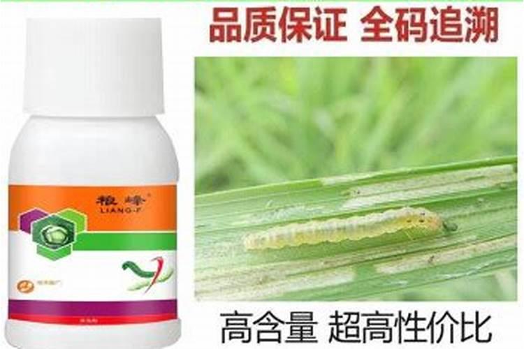 专杀水稻钻心虫特效药
