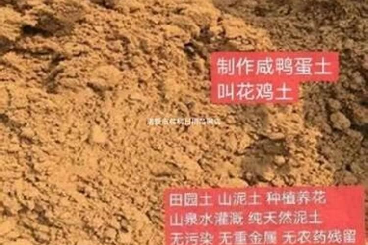 黄泥巴土可以养花吗