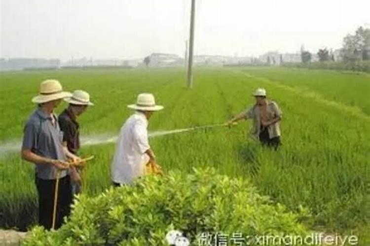 什么天气条件下不宜施用农药？