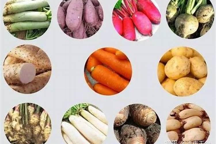 根茎蔬菜的营养秘诀：科学施肥方法解析？