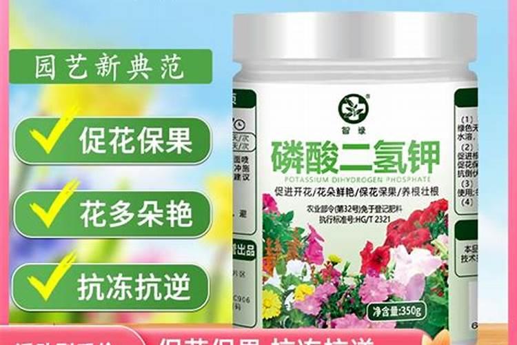 哪些花不能喷醋酸钾肥水施肥？