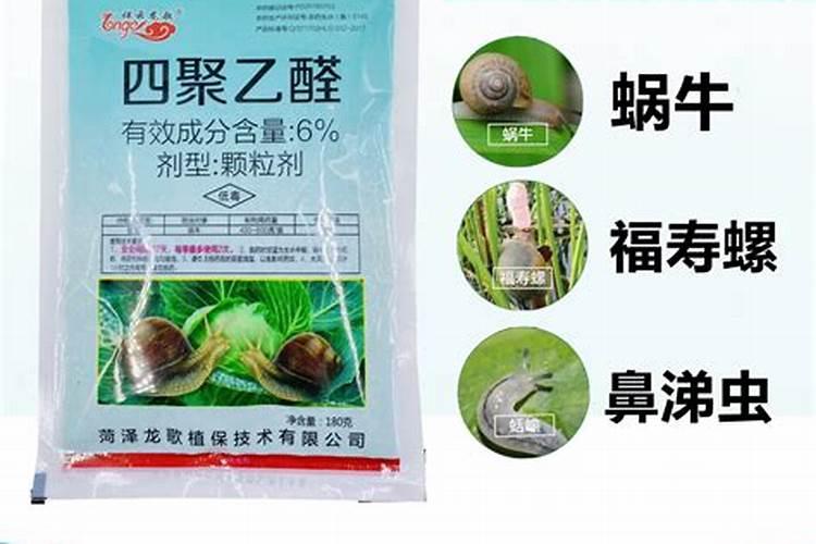 杀蜗牛最有效的农药