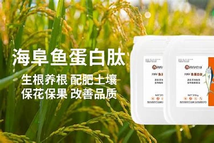 鱼蛋白<a href=