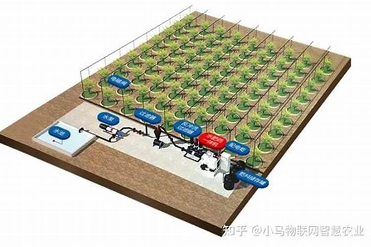 水肥一体化是什么