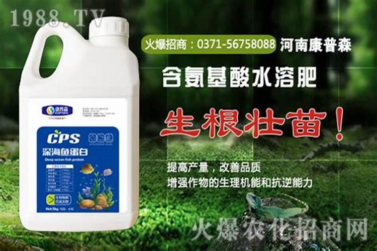 兴宁追肥鱼蛋白肥料为何禁止？
