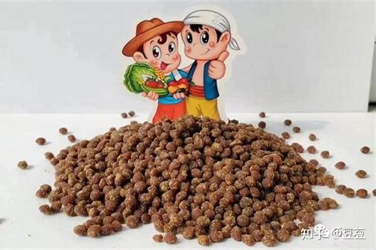 颗粒水溶肥料是什么？