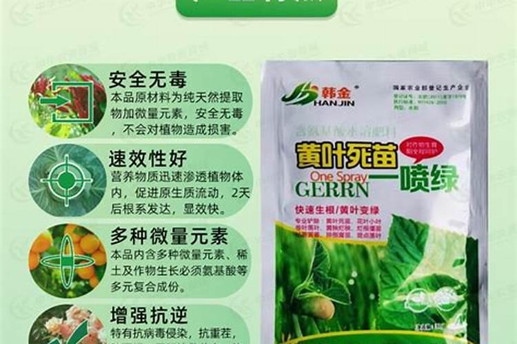 德州农用氨基酸叶面肥十大品牌