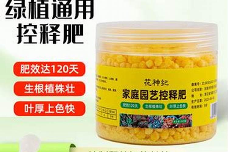 大理多肉控释肥是什么肥料最好？