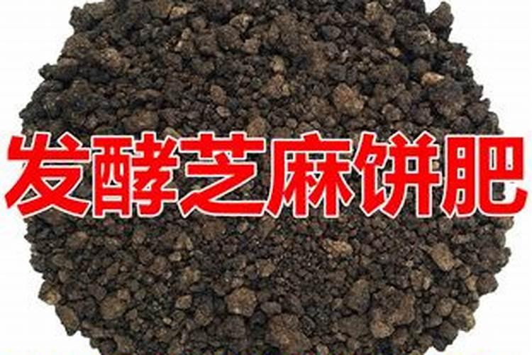麻酱渣怎么作肥