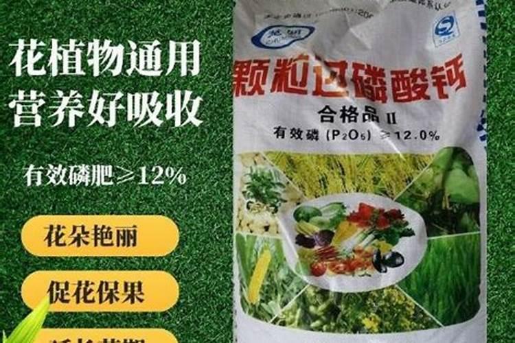 海棠钙镁磷肥的功效和作用过磷酸钙