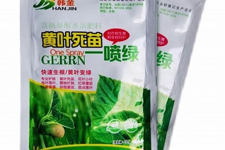邳州沃柑12月份喷氨基酸叶面肥